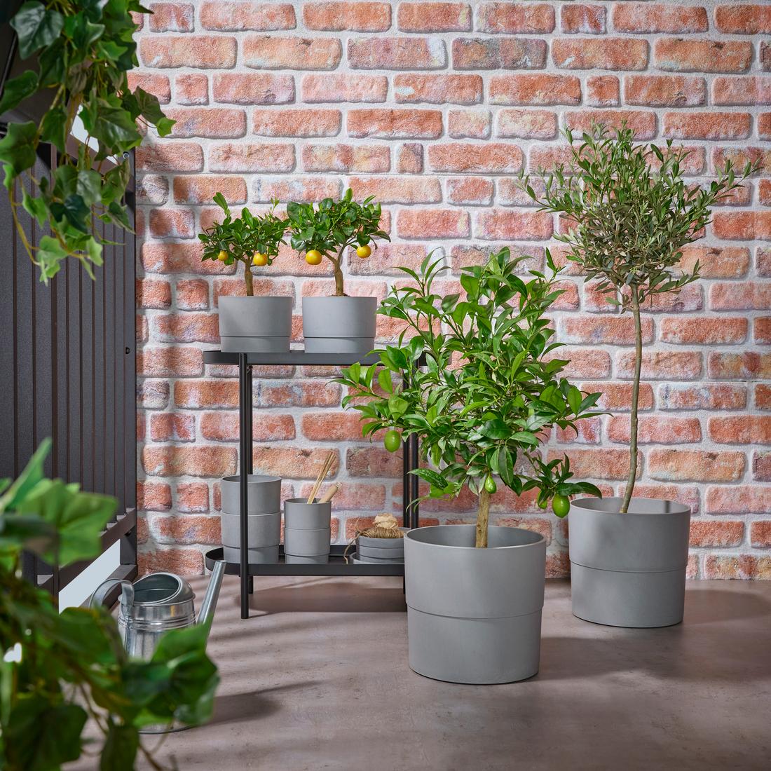 Plant Tips at IKEA Burlington