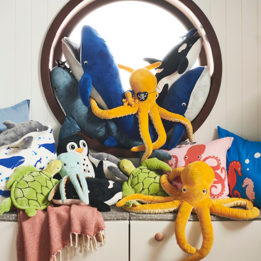 Discover Marine Life with Back to the Sea Centre