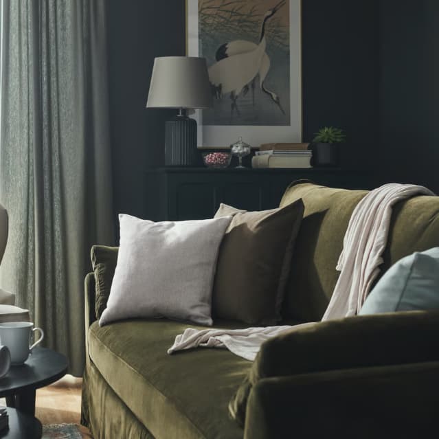 Offre de la semaine