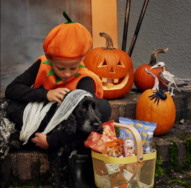Viens décorer ta citrouille pour l'Halloween!