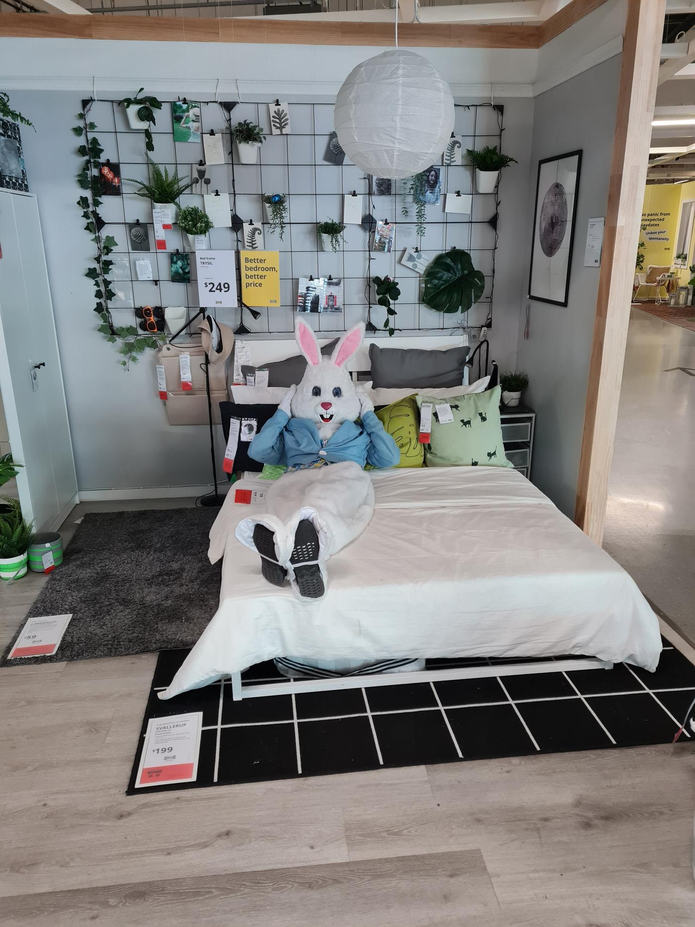 Find the Easter Bunny