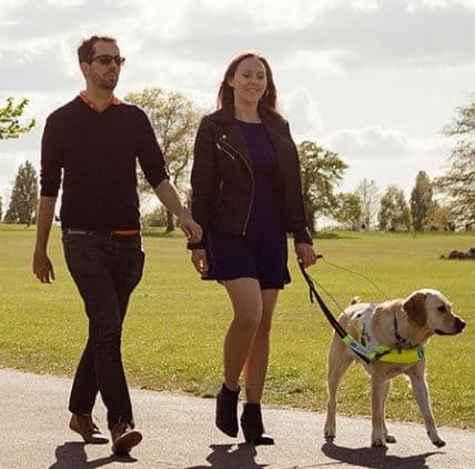 Guide dogs