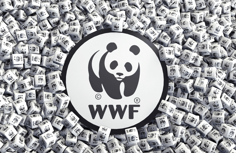 Meet the WWF!