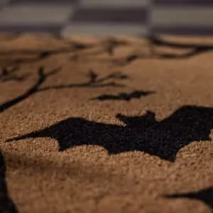 ADULTS ONLY: Spooky Door Mat Painting