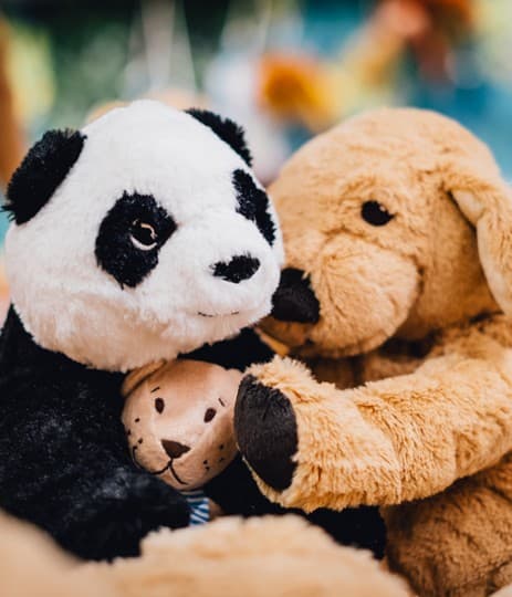 Eco Explorers - The Crossword Challenge