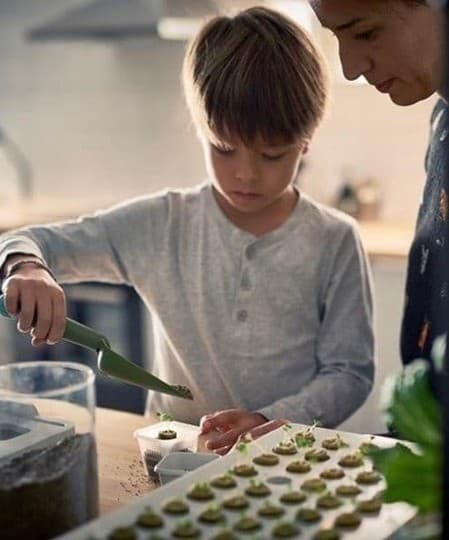 IKEA Little Growers Club