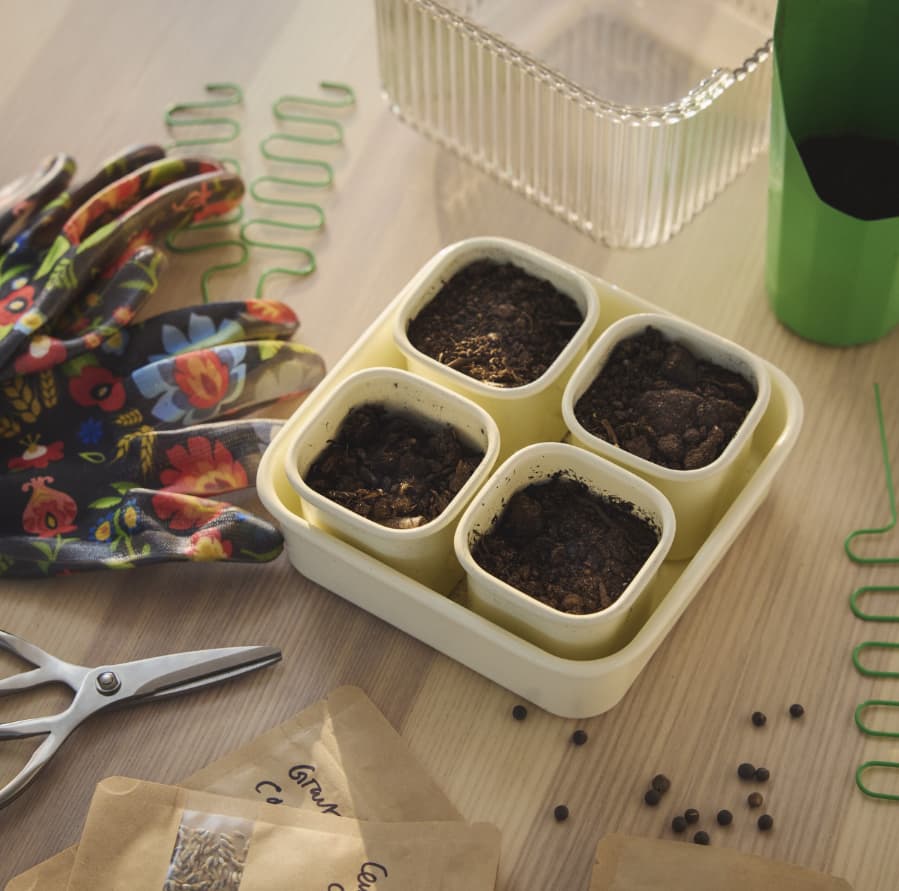 IKEA little growers club