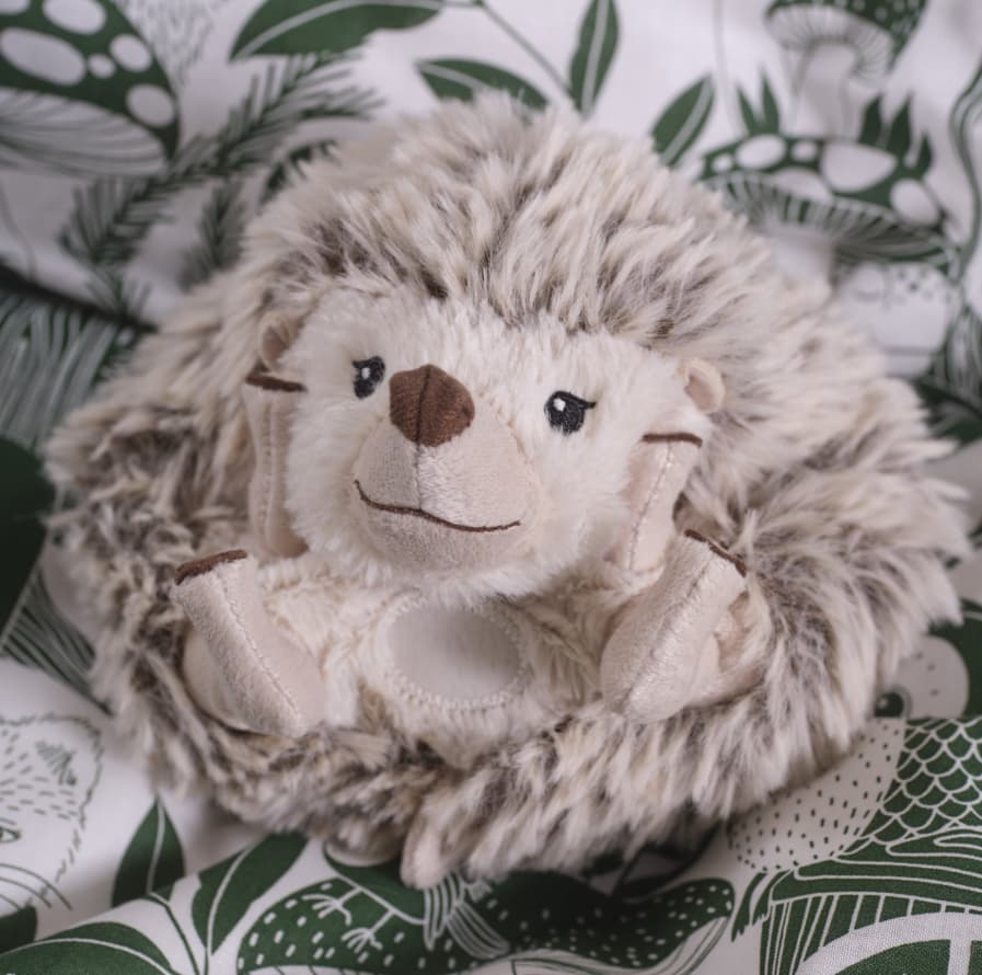 Wild homes for wildlife