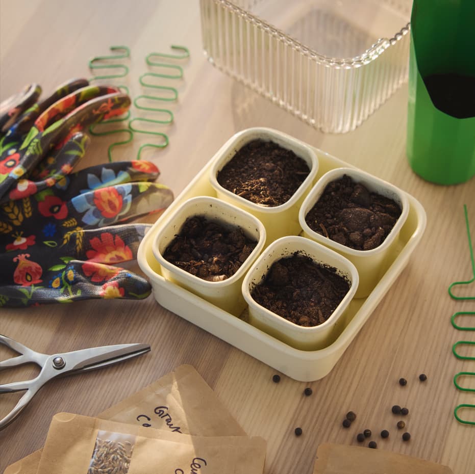 IKEA little growers club