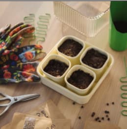 IKEA little growers club