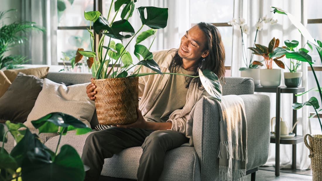 Find your perfect Plantner