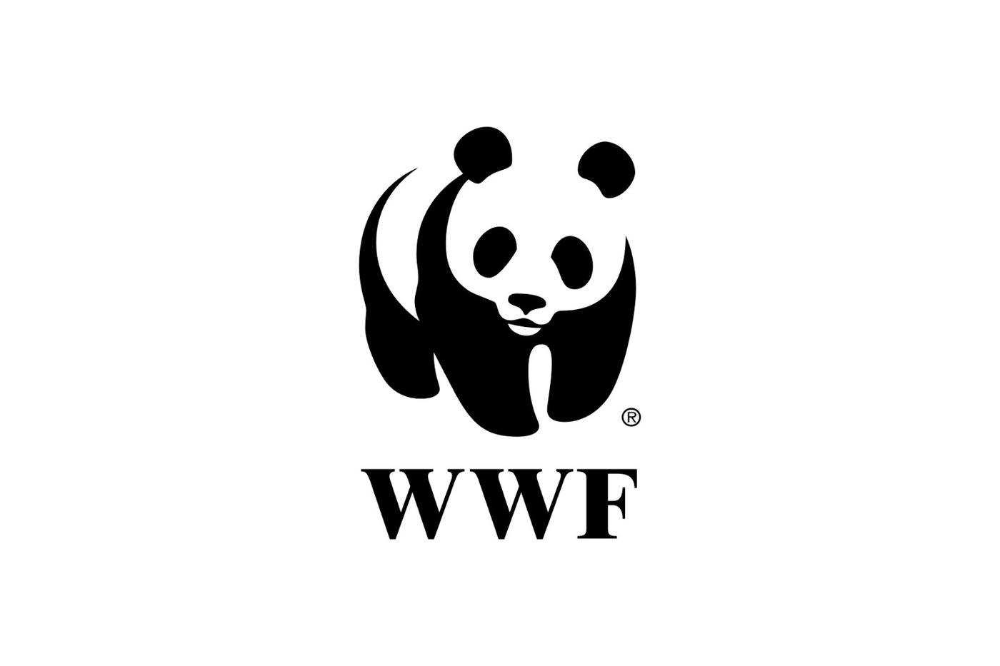 WWF Awareness Stand