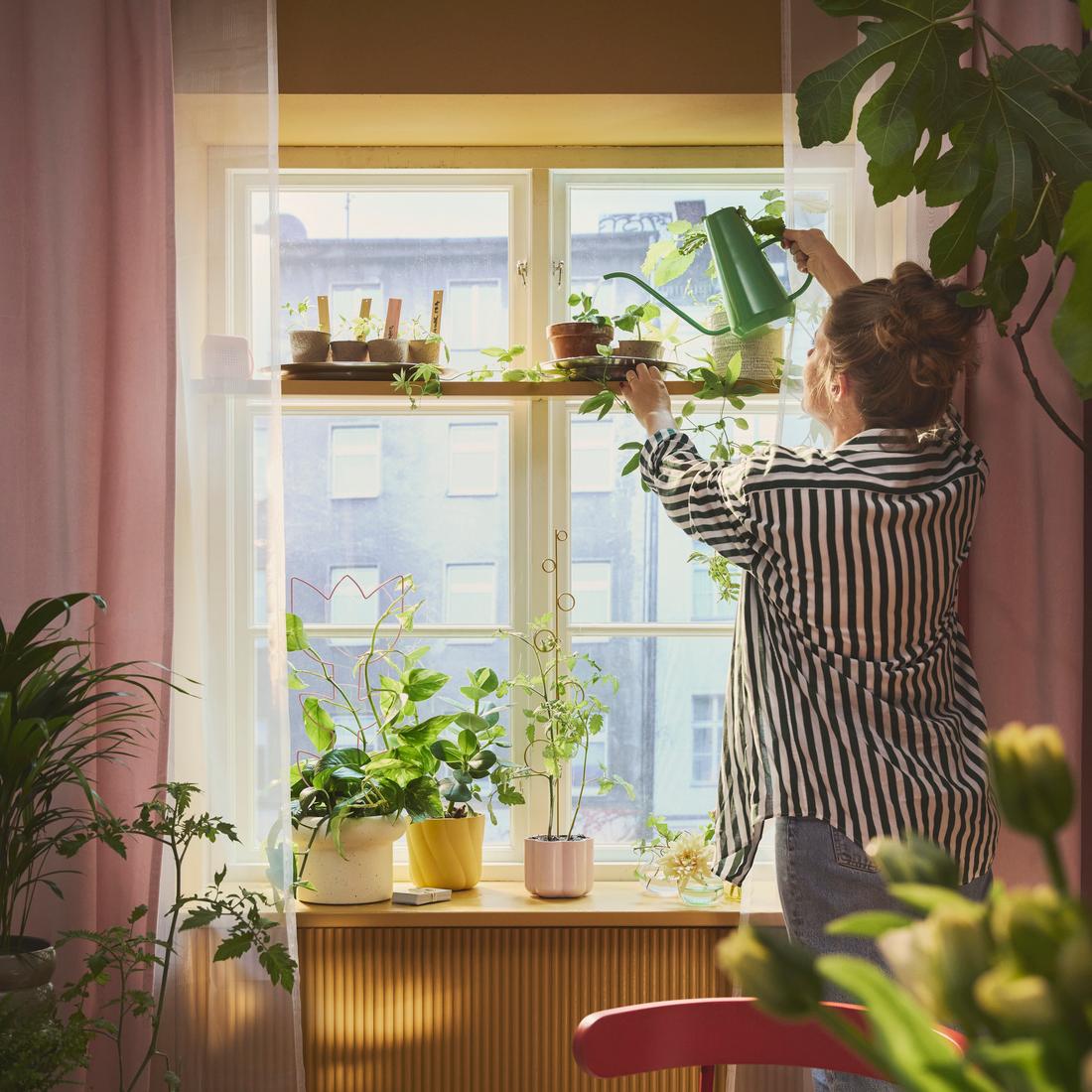 Growing Good Habits: Plant nursery