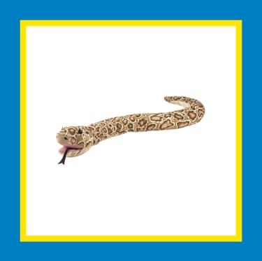 Offer of the Week: Save 35% on DJUNGELSKOG, snake