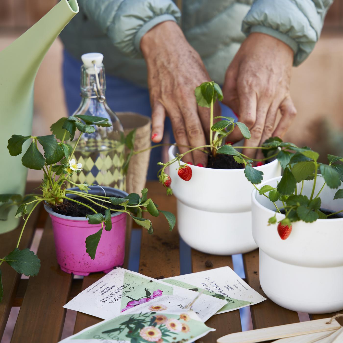 Designer pots - for grown ups