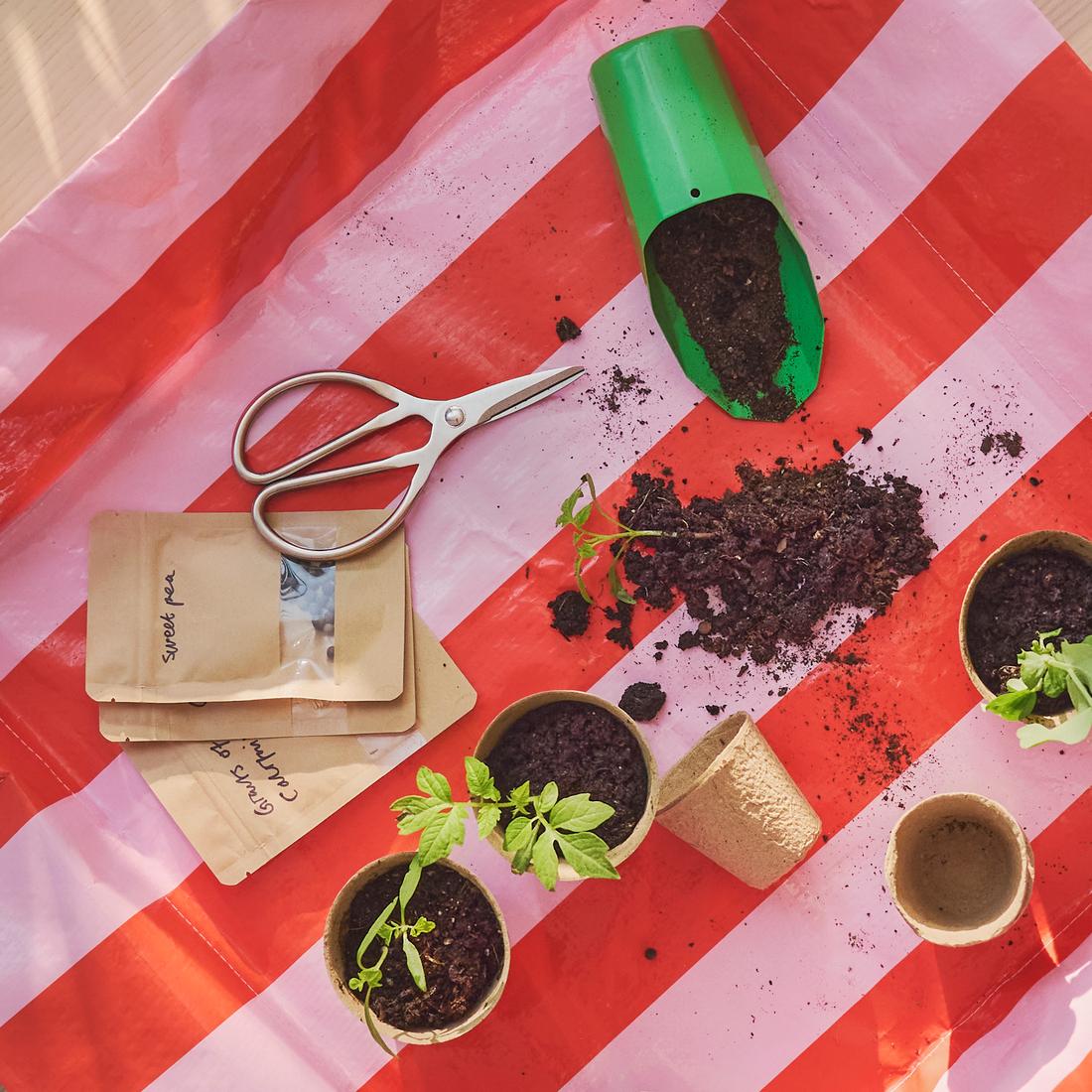 Småland Event: Grow, Plant, Play