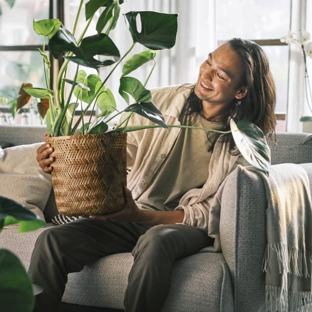 Find your perfect Plantner at IKEA Croydon