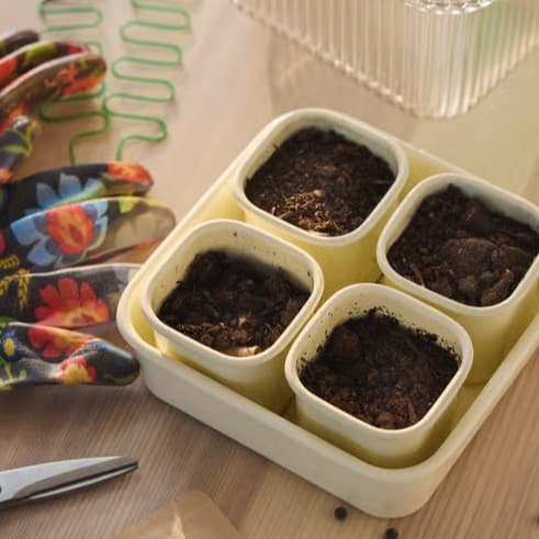 IKEA little growers club