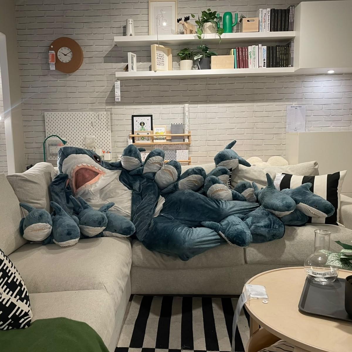 Find BLAHAJ the Shark