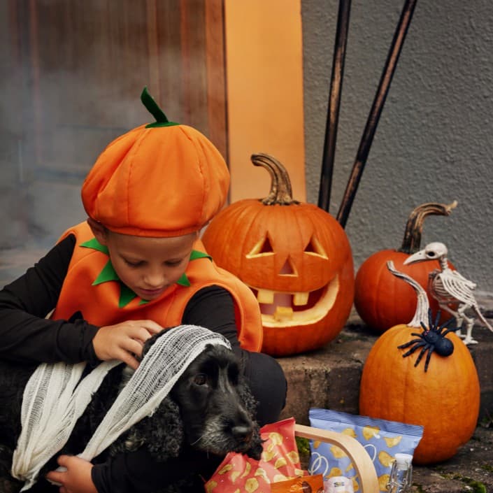 IKEA Family HallowEVENING