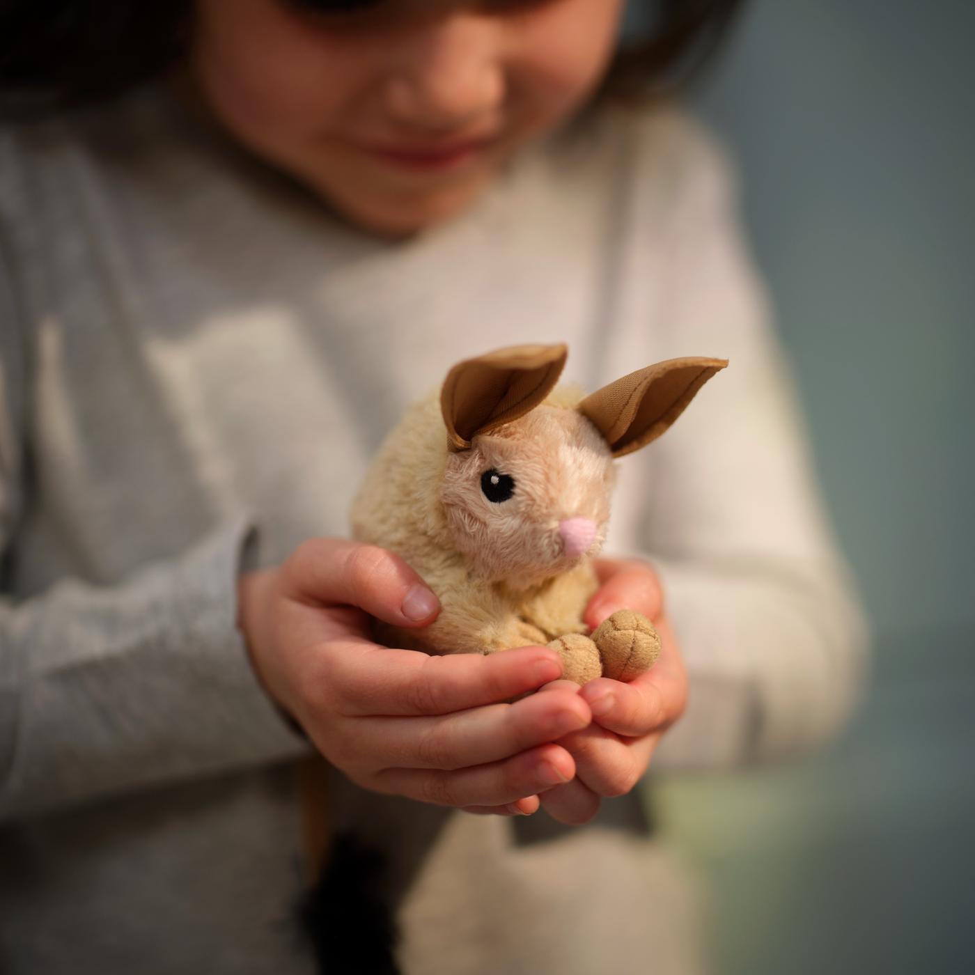 Animal encounters with ZooLab