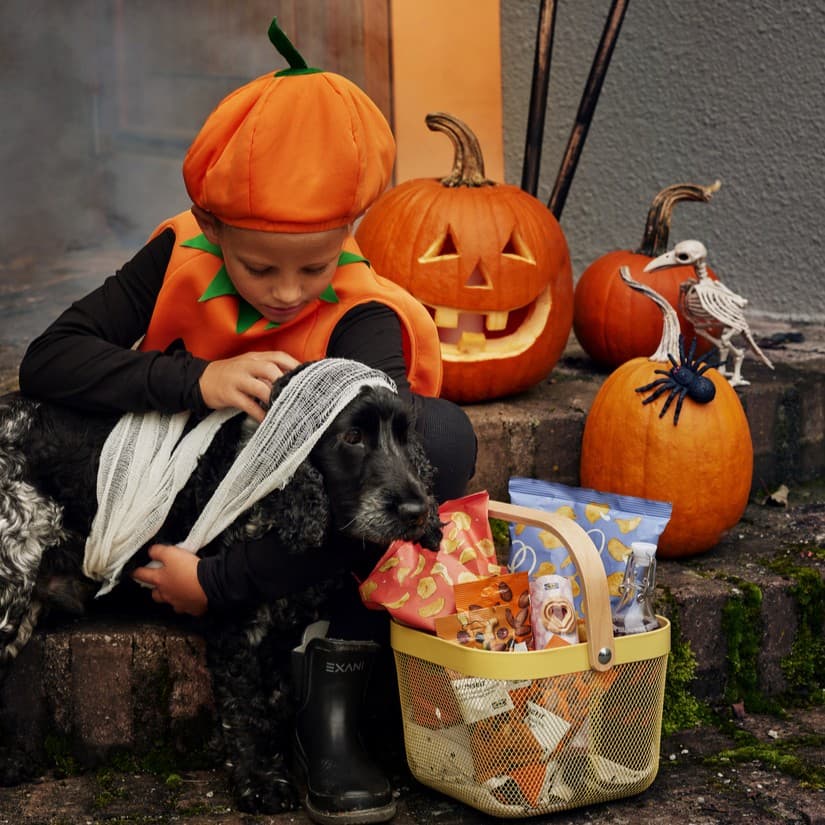 Halloween - Activity Week in Småland