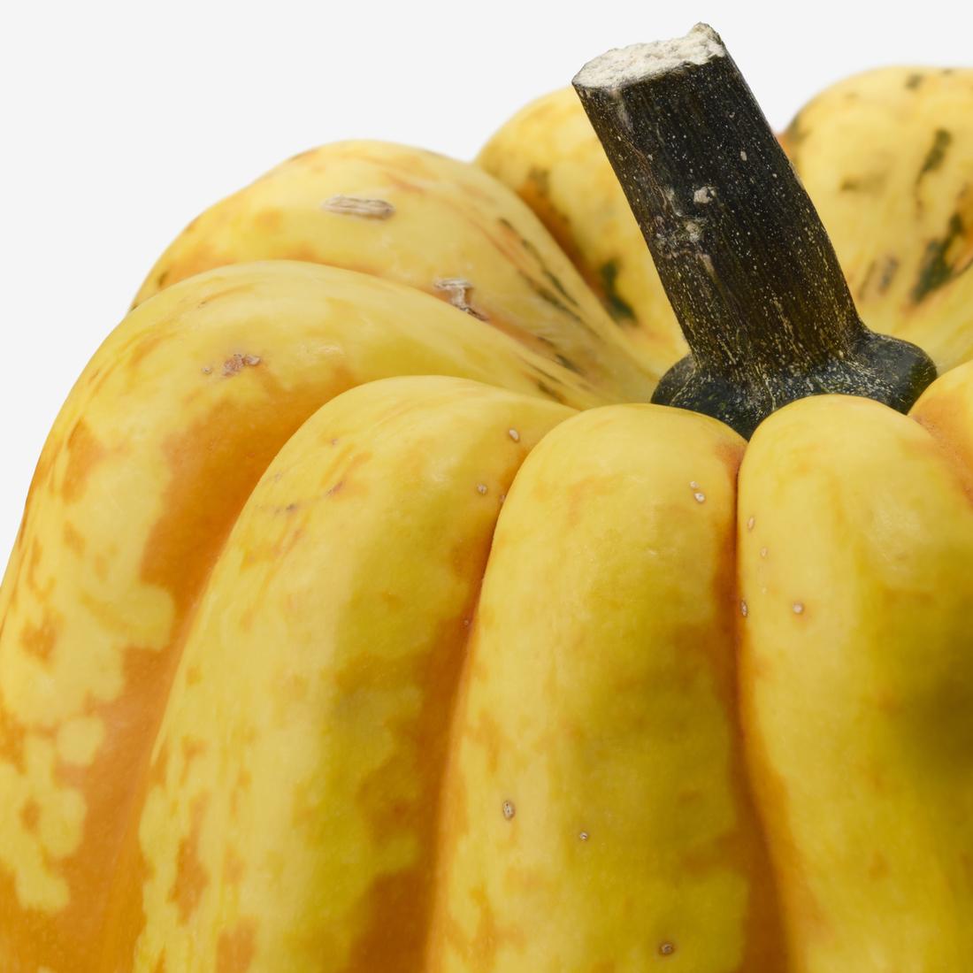 Making Monday KIDS - sew your own pumpkin