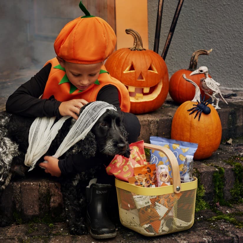 Småland Event: Trick-or-Treat Bag Decorating