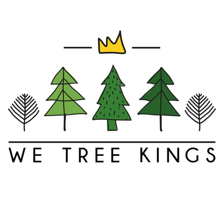 We Tree Kings: Real Christmas Trees @ IKEA Cardiff