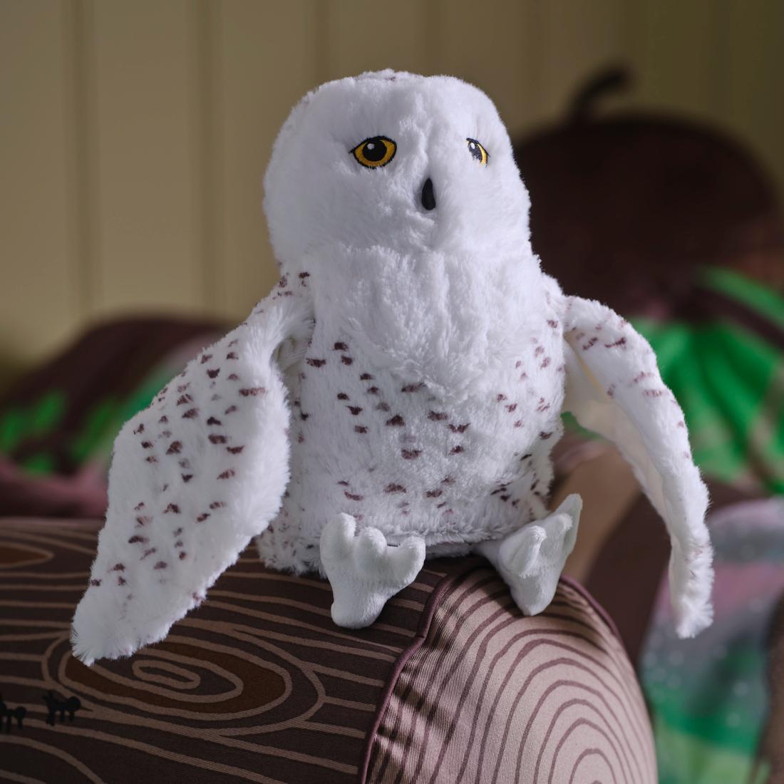 Owls - Activity Week in Småland