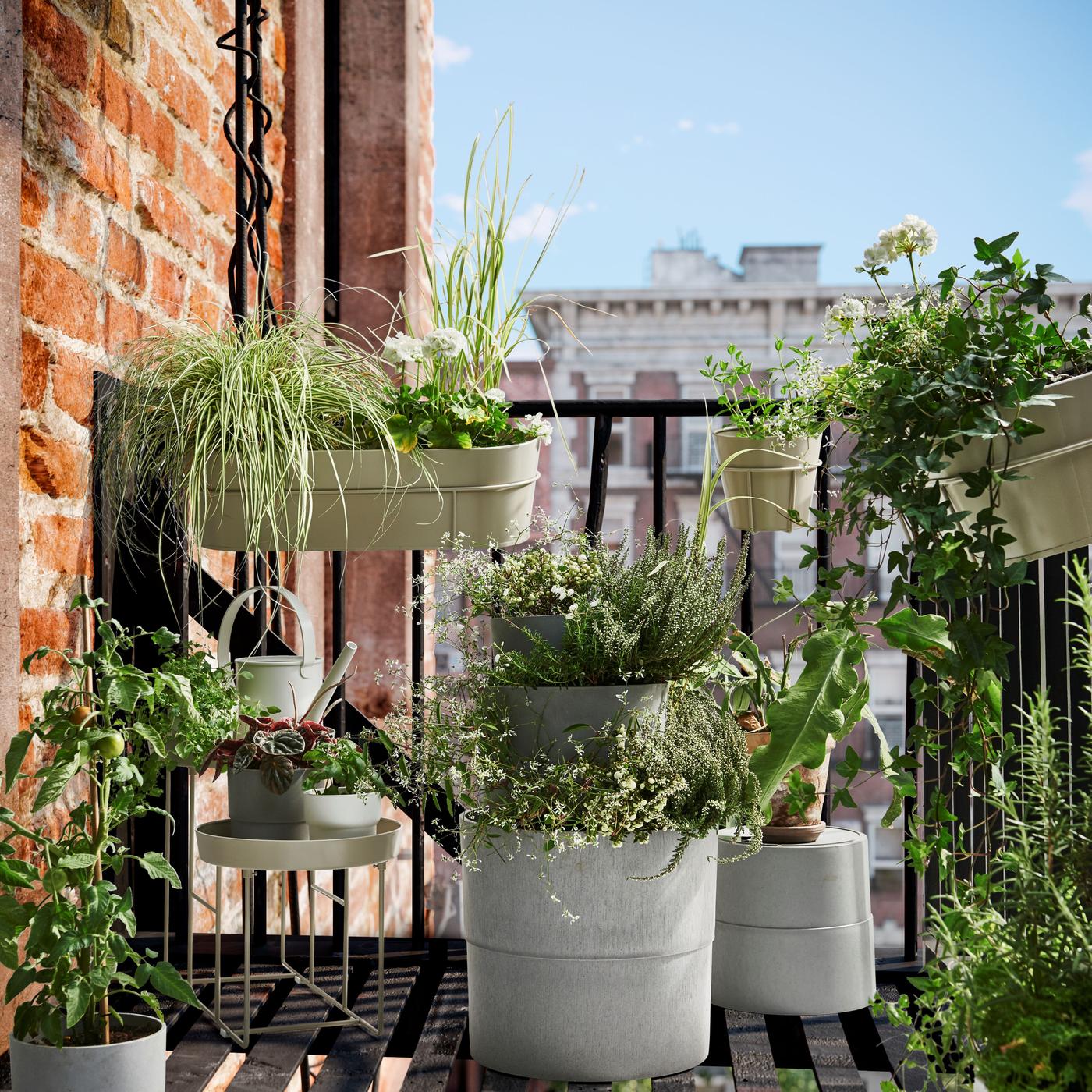 Pot-a-Plant for Earth Month