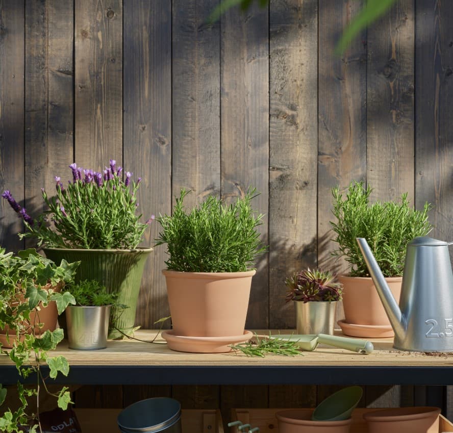 Night Out at IKEA: Pot a Plant