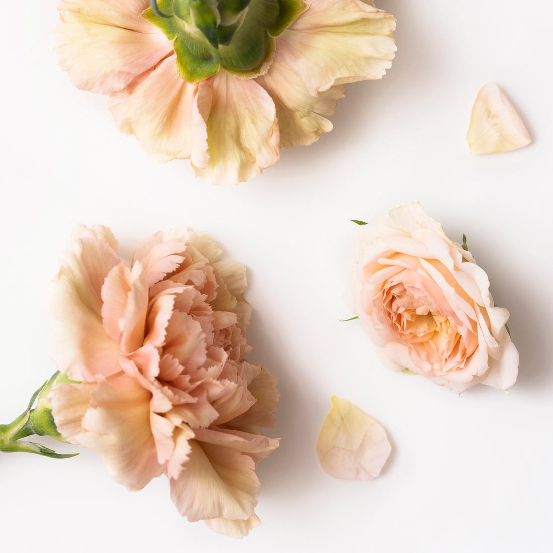 🌸Mother's Day: Coffee Filter Flowers for Mom🌸