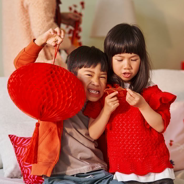 Year of the Horse Lunar New Year Celebration