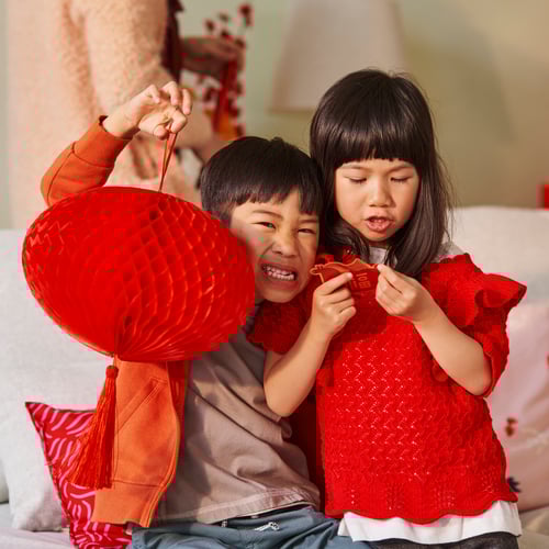 Year of the Horse Lunar New Year Celebration