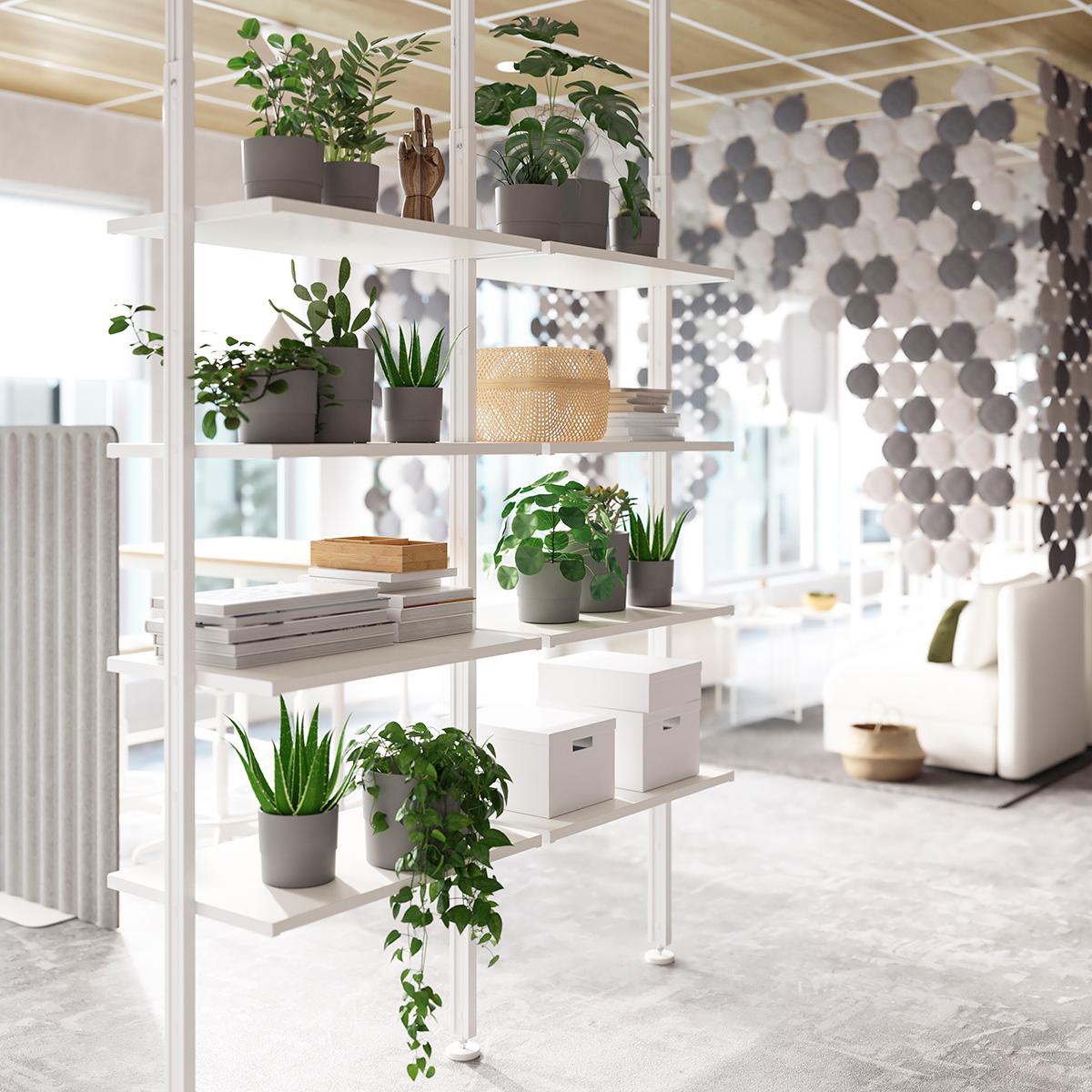 Plant Scaping for a healthier home and office.