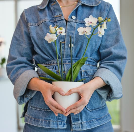 Earth Day, Mocktails, and Friends!