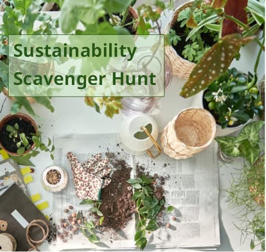 Sustainability Scavenger Hunt is Here!