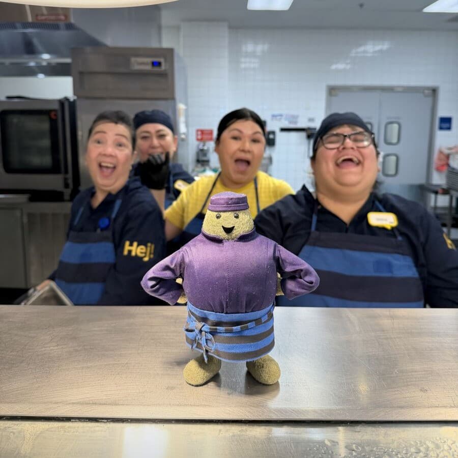 Earth Day: Falafel Ball Sampling​