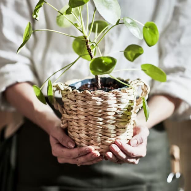 Earth Day Celebration!