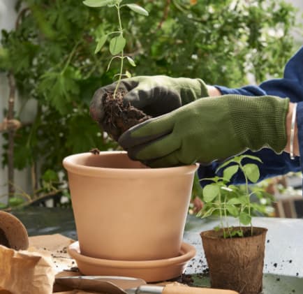 Earth Month - Planting tips and tricks workshop