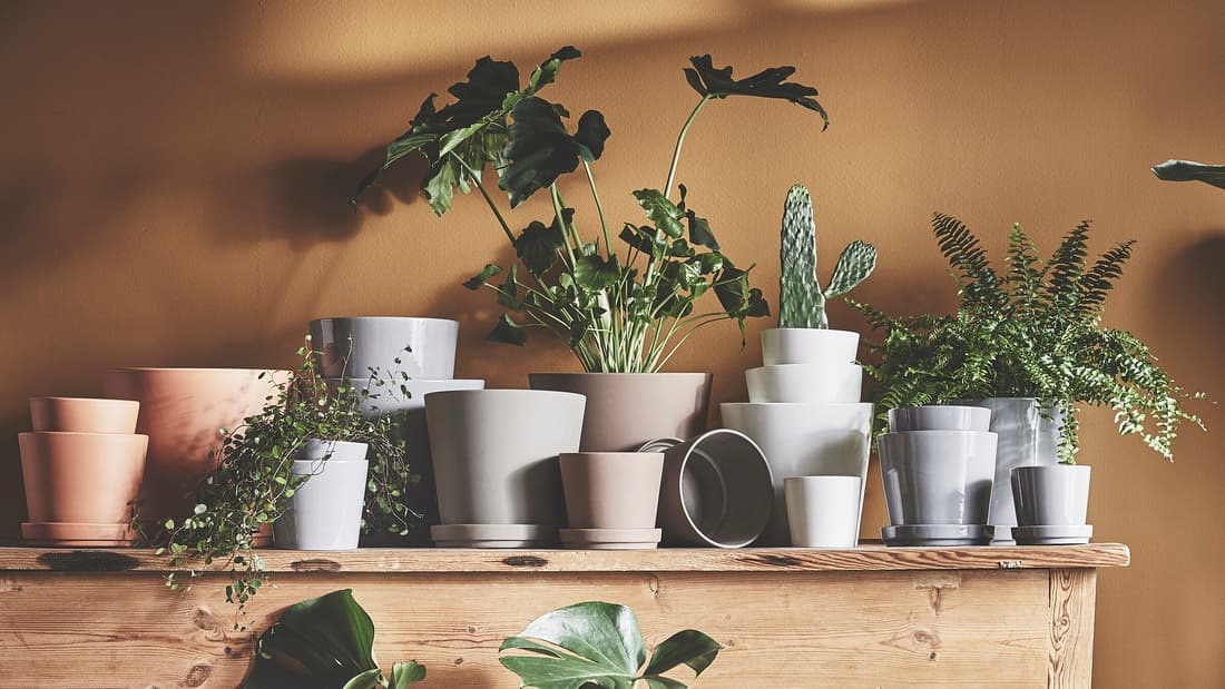 2nd Life Plant Potting Activity