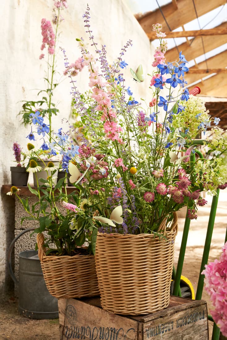 Earth Month: Mini Pollinator Garden