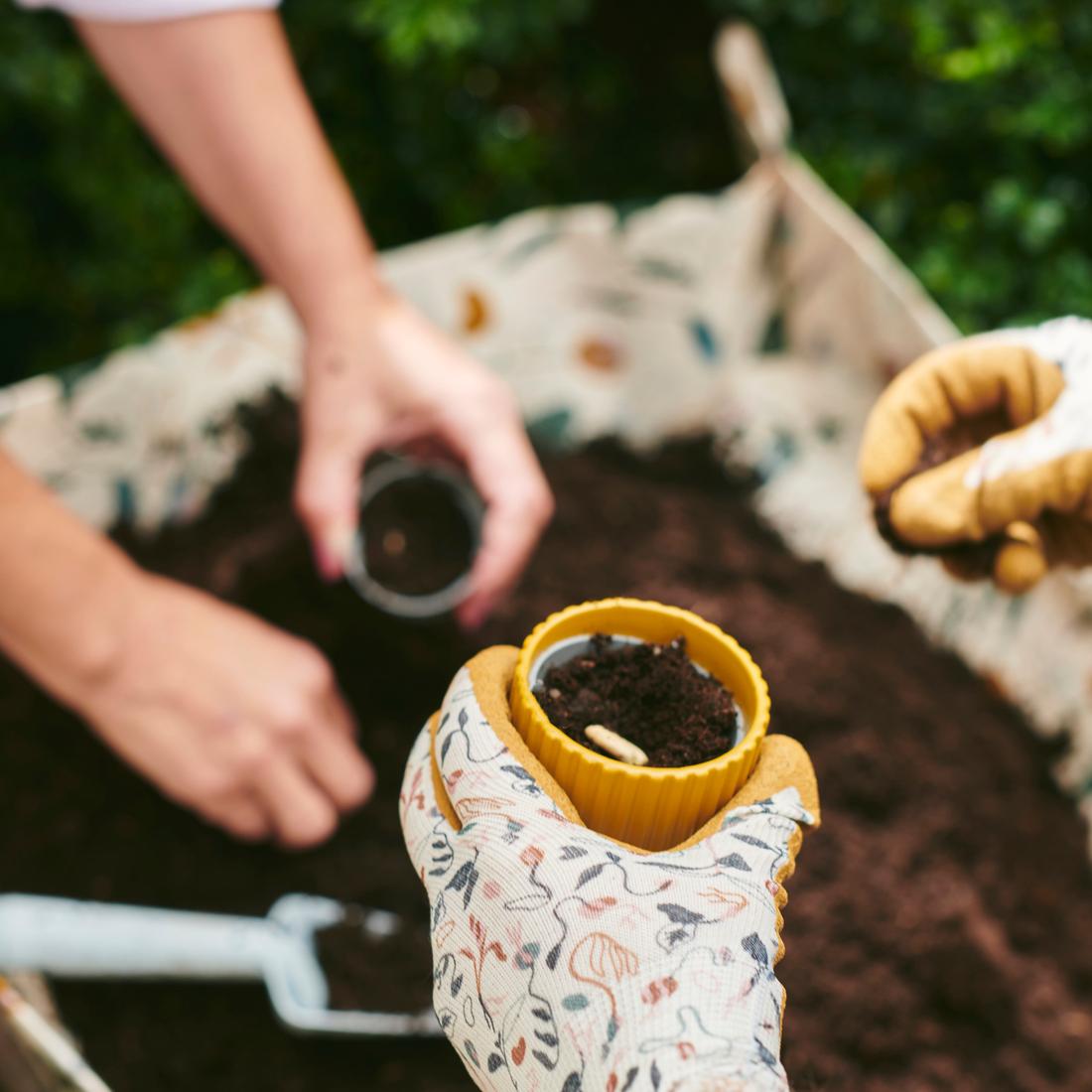 IKEA Family Mini Camp: Plant a Seed