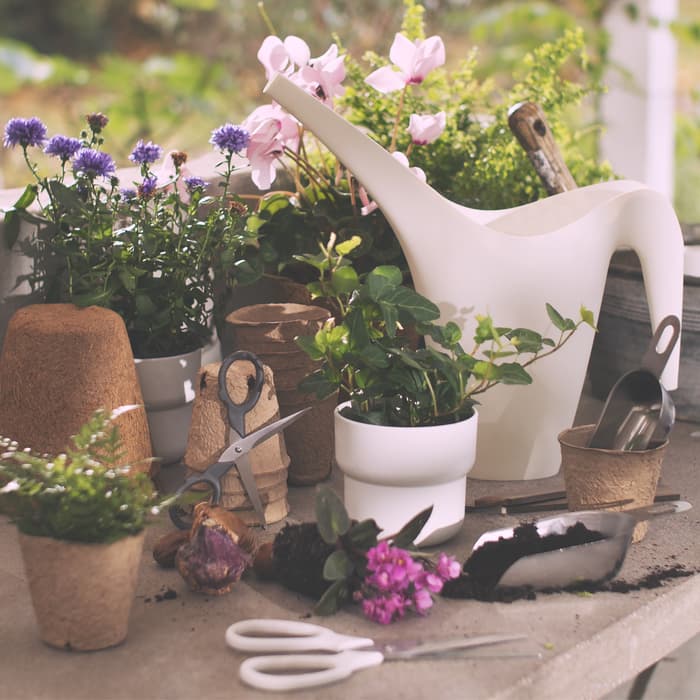 IKEA Tempe, AZ Event - 5/9 Doorbuster Giveaway: Summer Launch