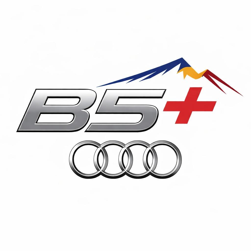 B5+ Car Meet