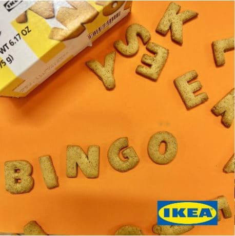 BINGO is BACK!