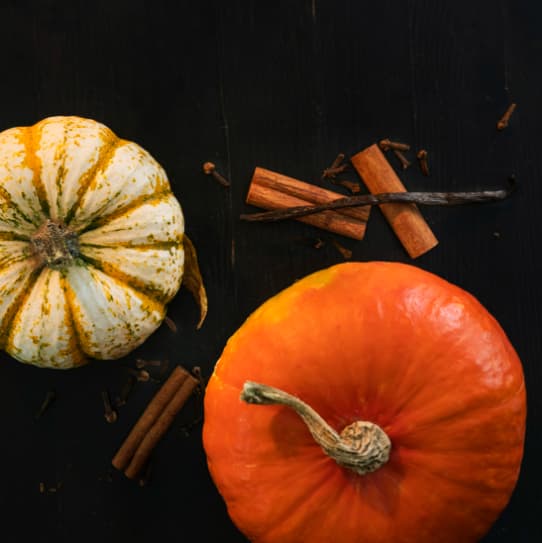 Kids Craft: Decorate Your Own Mini Pumpkin