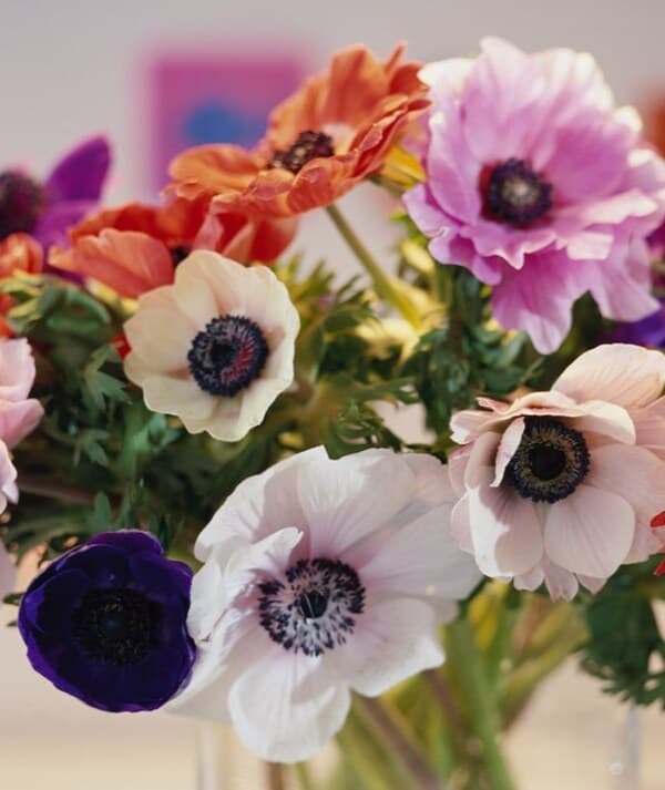 Un joli bouquet pour maman !