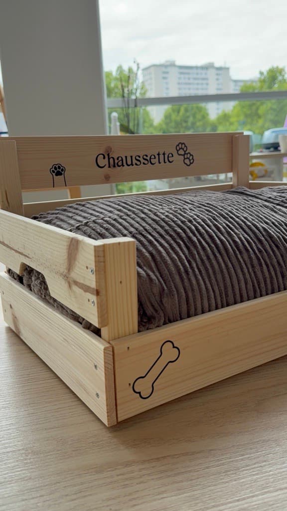 Un panier pour ton animal de compagnie 🐶